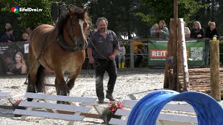 Kaltblutrennen in Mützenich [upl. by Esereht]