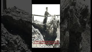 Florissant Fossil Beds Nat Monument with Redwood Stumps  Walt Disney  Mobile Format [upl. by Cheyney]