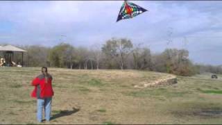 19 foot Premiere Teknacolor Grand Delta Kite [upl. by Ettecul]