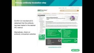 Mastering Immunohistochemistry Staining Experiments [upl. by Boru]