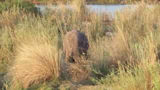 11102013 Zambezi Sunset Cruise [upl. by Inttirb]