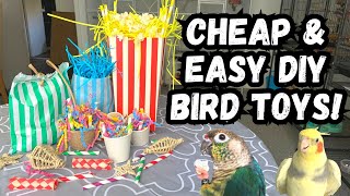 Cheap and Easy DIY Parrot Toys 3  BirdNerdSophie [upl. by Anehta]