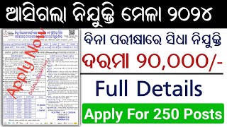 District Employment Office Recruitment 2024  Nijukti Mela 2024  Odisha Job Alert [upl. by Nosyerg]