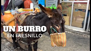 EL SEÑOR DEL BURRO QUE VENDE AGUAMIEL [upl. by Je]