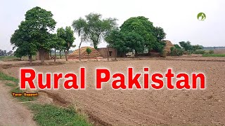 Village Life In Pakistan Daily Routine Work in 2020 [upl. by Ignace]