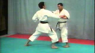 WKF  Gojushiho Dai  BUNKAI [upl. by Dowell]