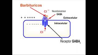 Barbitúricos [upl. by Theodor]