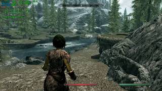 Skyrim Stuttering GTX 1070 [upl. by Esirrehc]