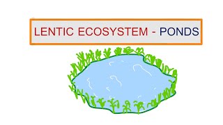 4 LENTIC ECOSYSTEM  PONDS  SEM 5  AQUATIC BIOLOGY PAPER 1 [upl. by Spiegleman]