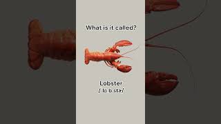 Can you name these seafood learnenglish dailyenglish english vocabulary seafood learn [upl. by Coleen577]