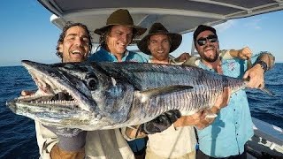 SPEARFISHING amp FISHING  Great Barrier Reef Island PARADISE B2B Ep 6 [upl. by Durning349]