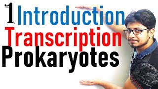 Transcription in prokaryotes introduction  Transcription lecture 1 [upl. by Krum269]