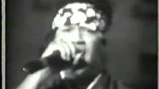 Redman Freestyle amp Performance Russell Simmons Phat Jam 1992 [upl. by Photima406]