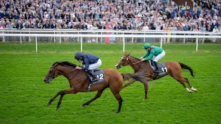 CITY OF TROY Crushes Juddmonte International Stakes in NEW COURSE RECORD [upl. by Parsaye820]