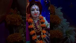 Gouri pujan  गौरी पूजन 🙏 ganpati Gouri mahalakshmi shorts youtubeshorts [upl. by Tayler]