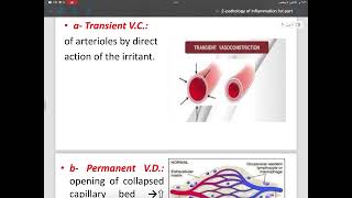 PATHOLOGY  INFLAMMATION PART 1 [upl. by Nazler665]