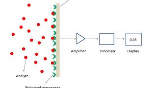 What are biosensors [upl. by Ozner]