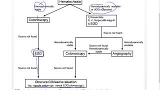 Hematochezia blood in stool [upl. by Arahd]