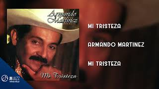 Mi TRISTEZA 🥺  Armando Martínez Audio Cover [upl. by Manup547]