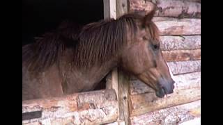 A Holiday in VaisonlaRomaine 1985 [upl. by Tobey]