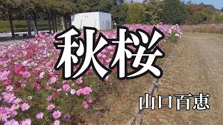 秋桜  山口百恵 歌詞入り [upl. by Eecram]