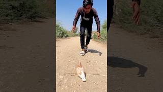 Kabootar ka bacha road par para tha rescue kiya 😱🕊️🥹 shorts [upl. by Adiahs]