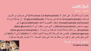 تحليل ألدولاز Aldolase Test [upl. by Siddon164]