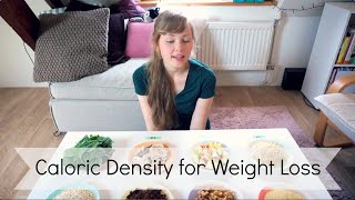 Caloric Density For Weightloss [upl. by Lief843]