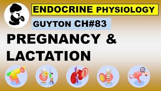 Ch83 Physiology Guyton  Pregnancy and Lactation  Reproductive Physiology  Dr Asif Lectures [upl. by Tronna]