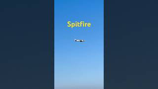 Spitfire 스핏파이어 [upl. by Gerome]