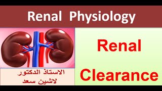 Measurement of GFR  i nulin clearance  creatinine clearance Lashin دلاشين [upl. by Irtak357]