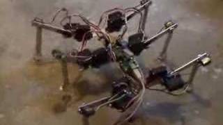 Hexapod  walking robot [upl. by Bab672]