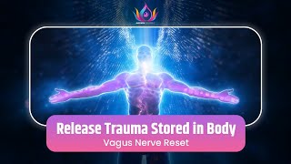 Reset Trauma with Vagus Nerve Music Parasympathetic Nervous System Stimulation [upl. by Nerraj]