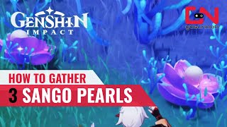 Gather 3 Sango Pearls Genshin Impact  Sango Pearl LOCATIONS for Trillion Trinket Trawl [upl. by Hutt]