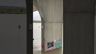 🇦🇹 Donau Hochwasser Wien Nussdorf 2024 [upl. by Tyrus]