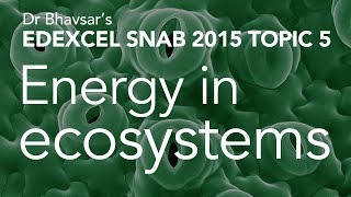 Energy in ecosystems topic 5 for Edexcel SNAB A level biology [upl. by Nailliw]