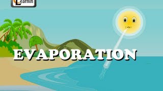 Evaporation  Elementary Science [upl. by Ruthanne]