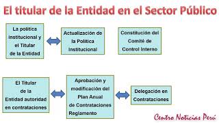 El titular de la Entidad en el Sector Público [upl. by Trish]