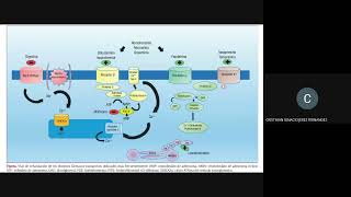 Farmacología en Cardiologia VASOACTIVOS INOTRÓPICOS y ANTIARRÍTMICOS [upl. by Ingra]