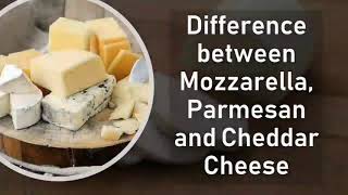 Difference between Mozzarella Parmesan and Cheddar Cheese  Basic Difference cheese [upl. by Abel]