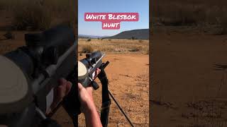 White Blesbok hunt hunting 308win [upl. by Rasmussen]