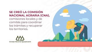 Conoce en qué consiste la ley Agraria [upl. by Ardnas]