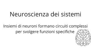 Introduzione alle Neuroscienze [upl. by Noira]