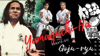 YamaguchiHa Gojukai KarateDo [upl. by Gati935]