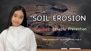 Soil Erosion  Main Causes Effects and Prevention [upl. by Kermit]