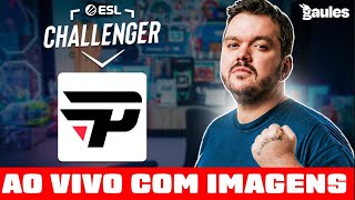 PAIN NOS PLAYOFFS Challenger Katowice 2024  COM Gaules AO VIVO COM IMAGENS [upl. by Arimak]