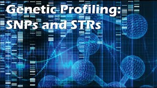 Genetic Profiling SNPs and STRs [upl. by Valenka763]