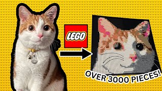 I Turned My Cat Into LEGO Art [upl. by Archaimbaud]