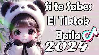 Si Te Sabes El Tiktok Baila  2024 [upl. by Marena]