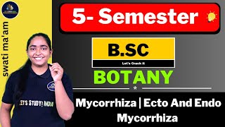 Mycorrhiza  Ecto And Endo Mycorrhiza  BSc Botany 1st Semester  Swati Maam [upl. by Amalia]